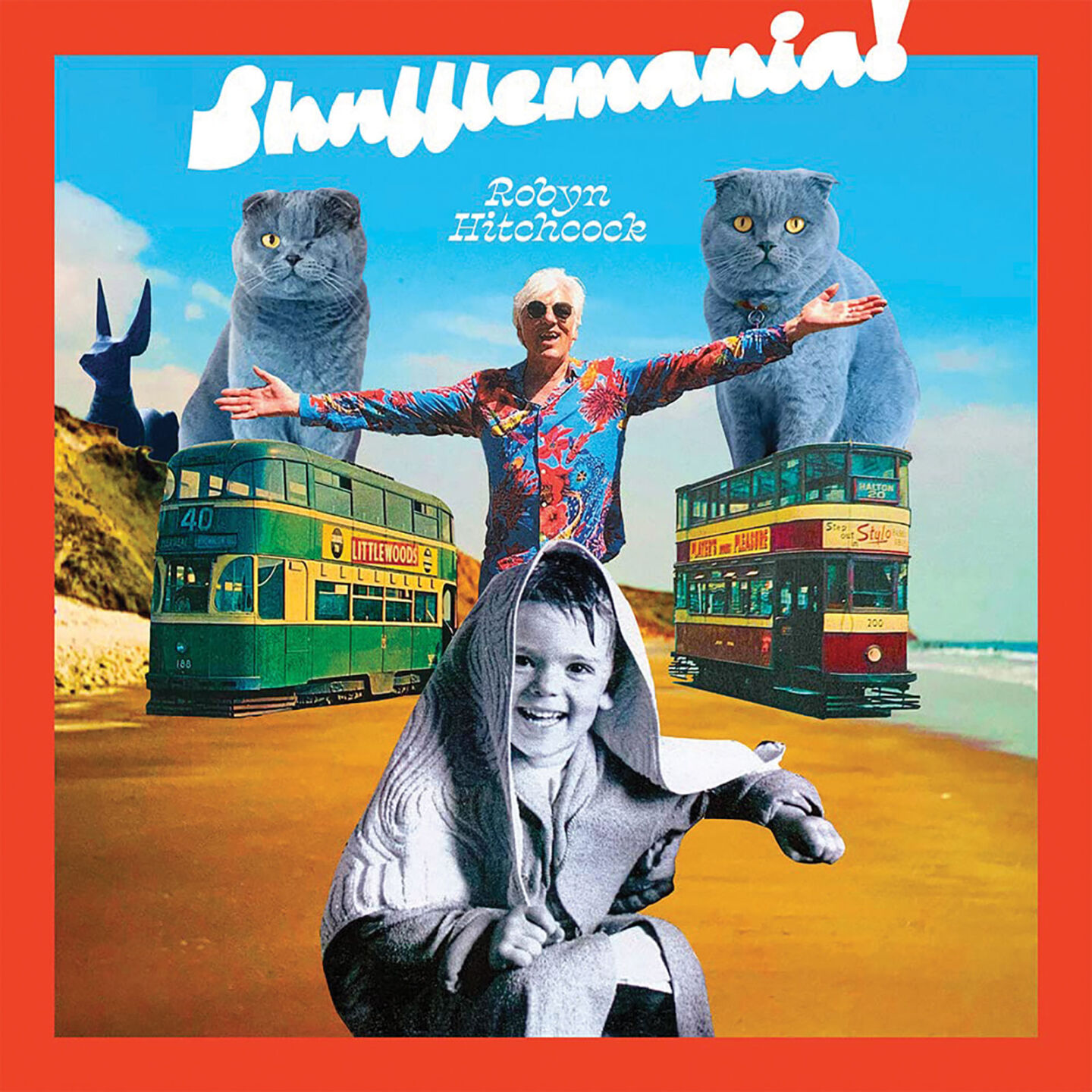 Robyn-Hitchcock,-Shufflemania!.jpg